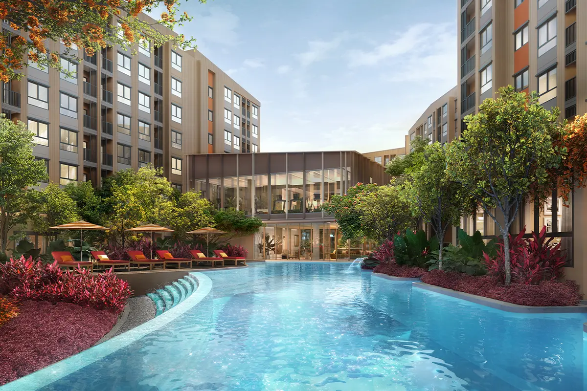 Dcondo Cove